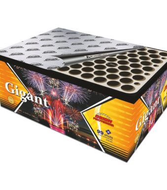 GIGANT BOX 249