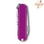 VICTORINOX CLASSIC TASTY GRAPE 0.6223.52G - Slika 3