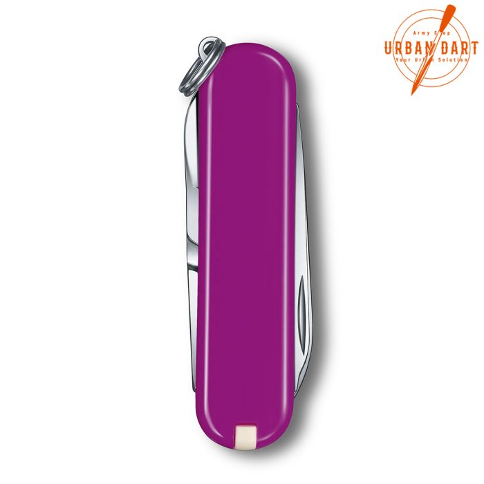 VICTORINOX CLASSIC TASTY GRAPE 0.6223.52G - Slika 3